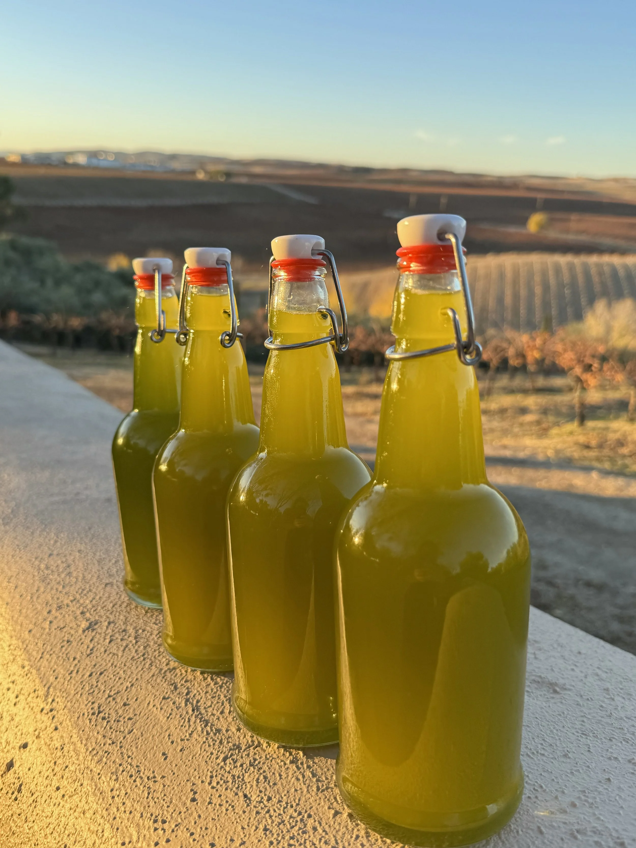 Shop — Terrace Hill Olive Oil Co.